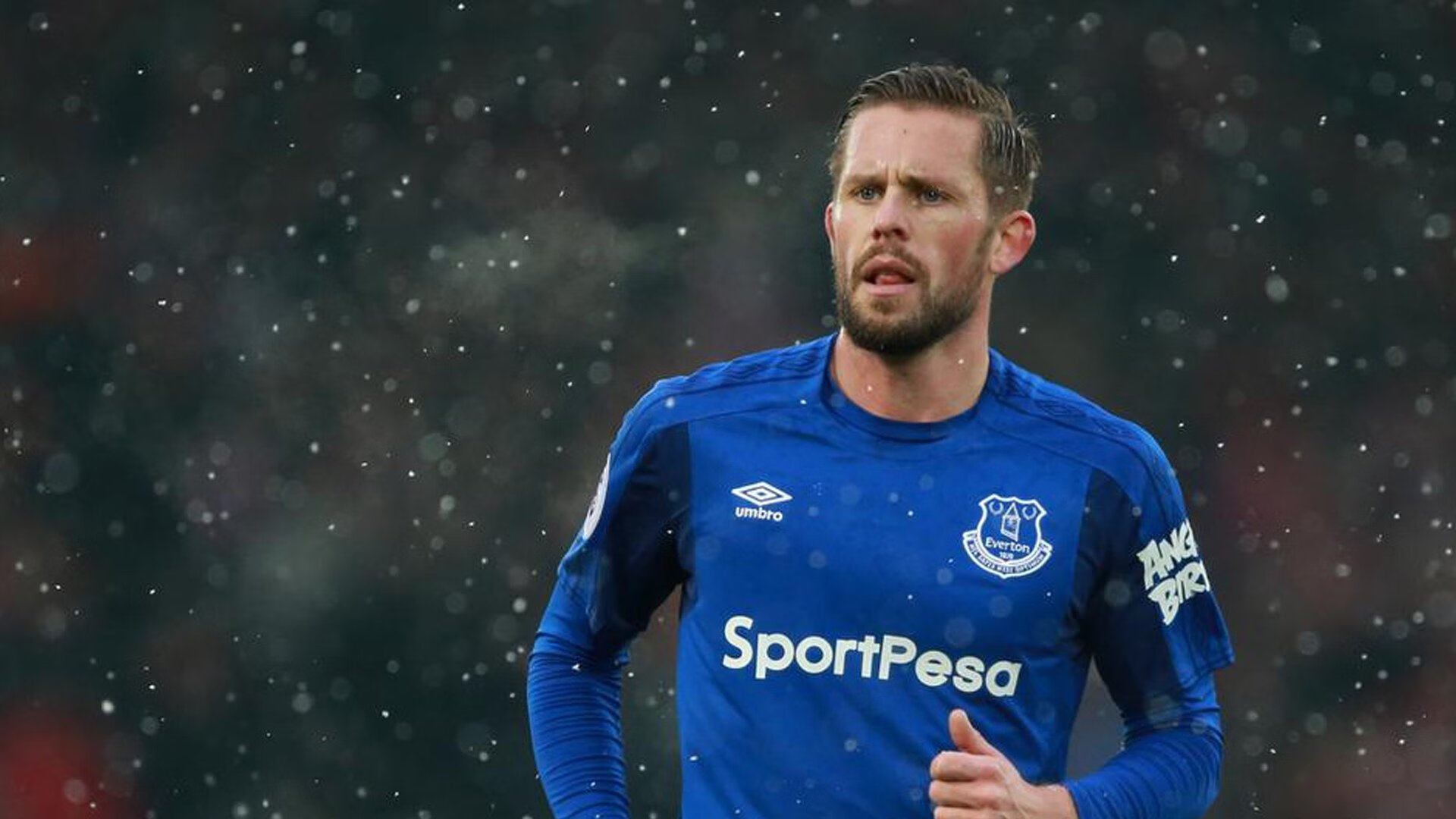 极光与钢铁，当波尔如流星划过维也纳的夜晚